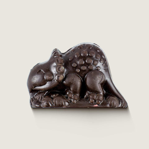 Chocolate Dinosaur Solid 53% Dark
