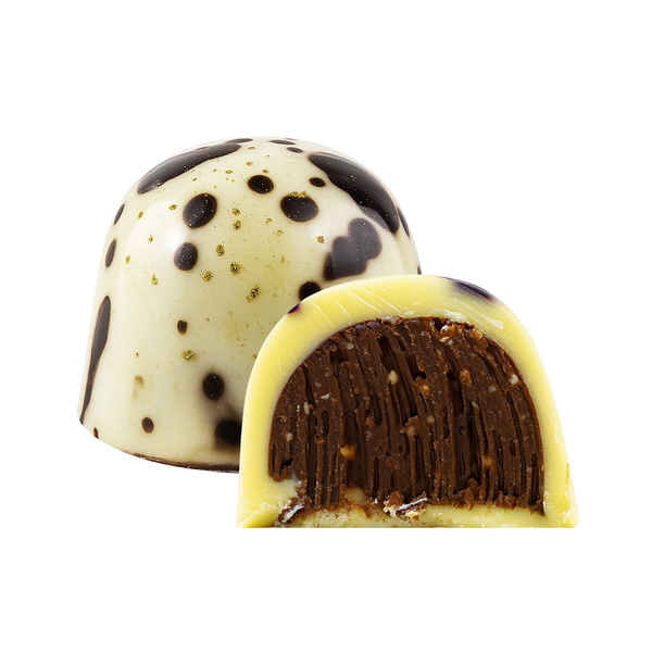 Chocolate Lamington Loose Chocolate