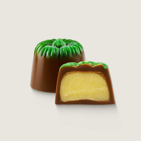 New Zealand Kiwifruit