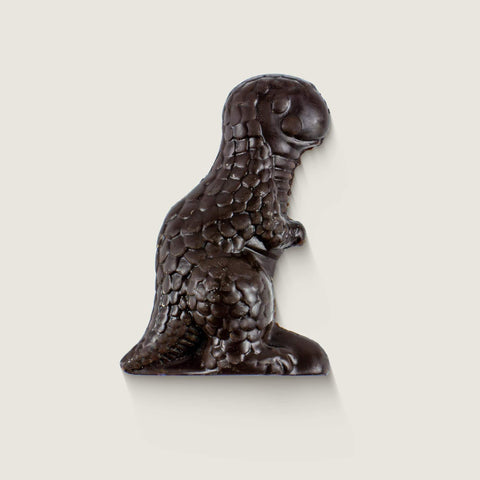 Chocolate Dinosaur Solid 53% Dark